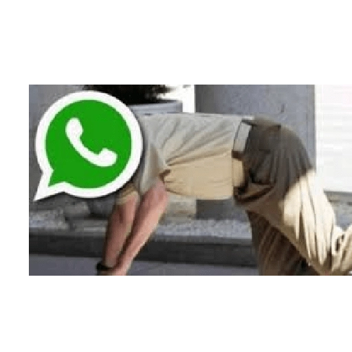 SE CAYÓ WHATSAPP 🟢📵❎️ 