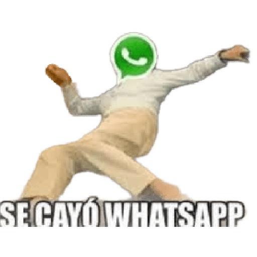 SE CAYÓ WHATSAPP 🟢📵❎️  preview