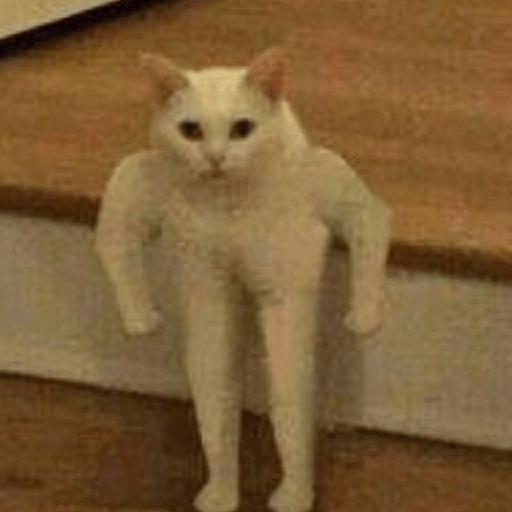 MOOD Randoms 3