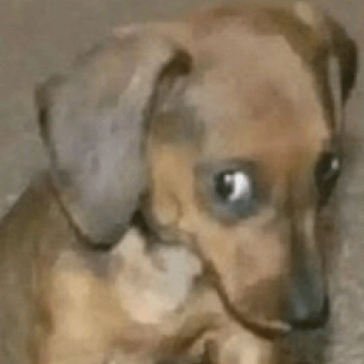 MOOD Randoms 3 preview