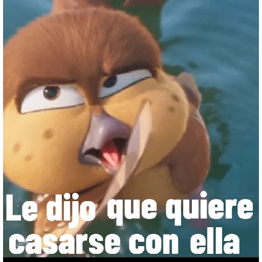 patos! 