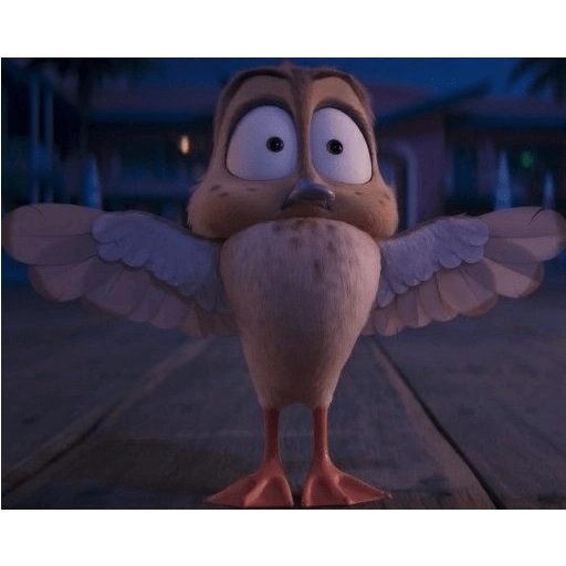 patos! 