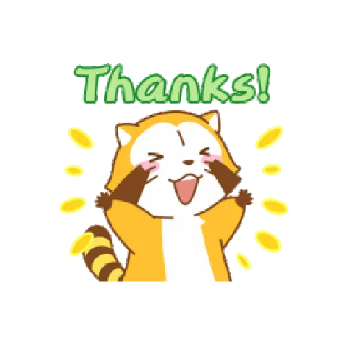 Mapache Cute 🦝❤️ 