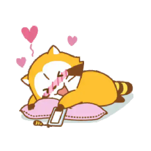 Mapache Cute 🦝❤️ 