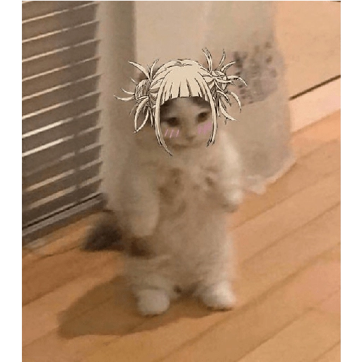 gojo satoru 