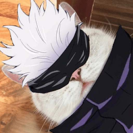 gojo satoru 