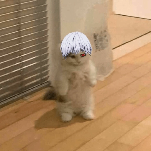 gojo satoru 