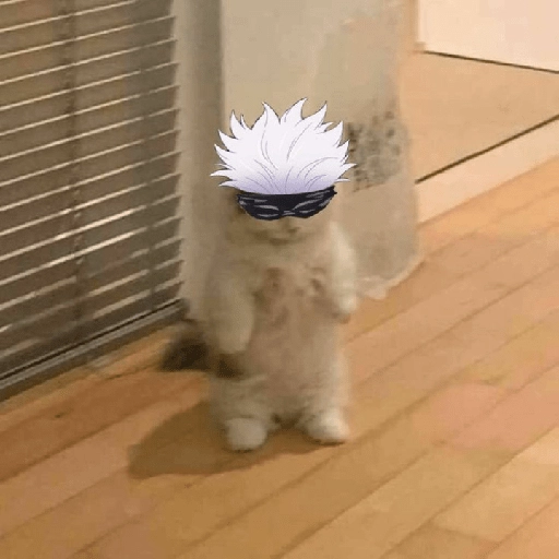 gojo satoru 
