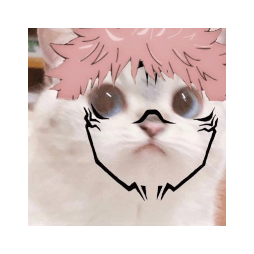 gojo satoru 
