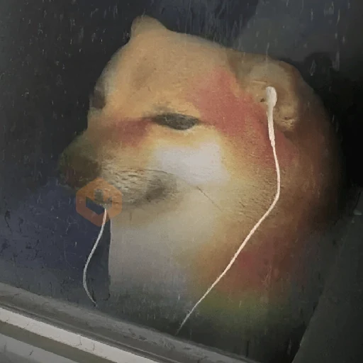 🎶🎵 Music Moods 🎵🎶 sticker 18