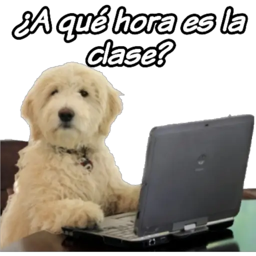 clases online time 