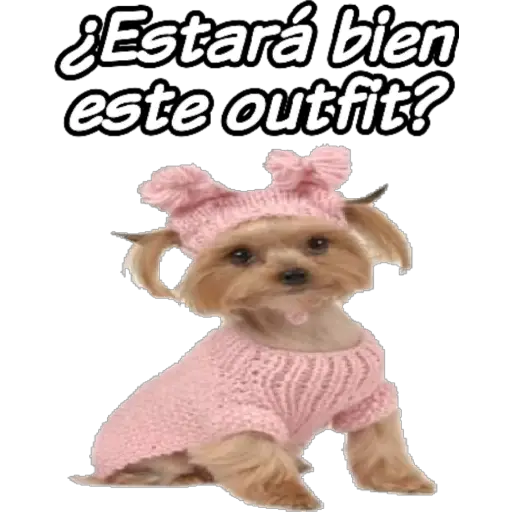 clases online time 