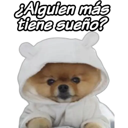 clases online time 