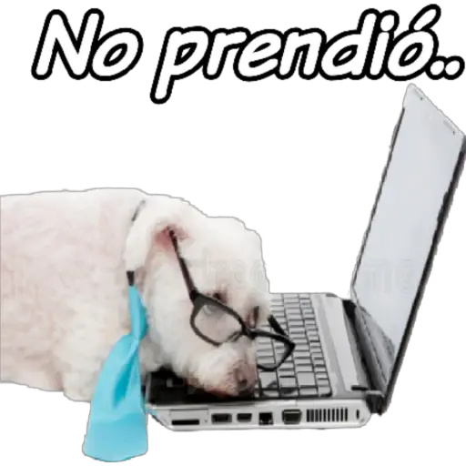 clases online time 