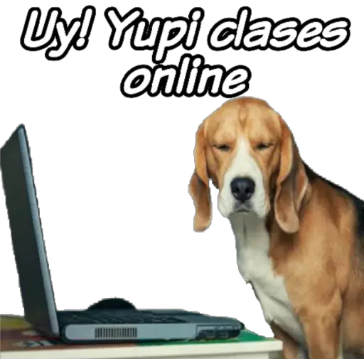 clases online time 