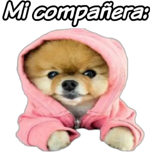 clases online time 