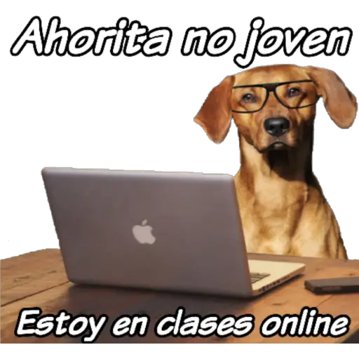 clases online time 