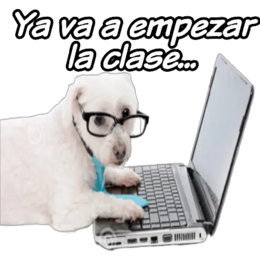 clases online time 
