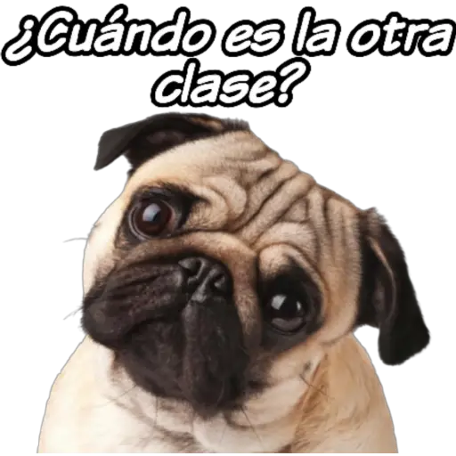 clases online time 