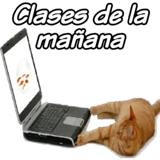 clases online time 