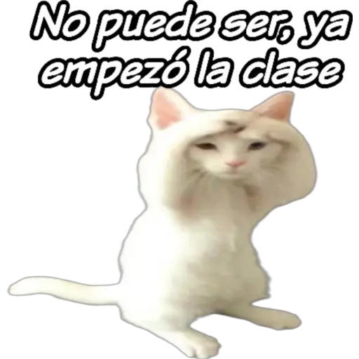 clases online time 