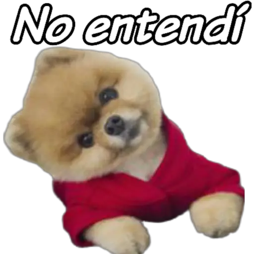 clases online time 