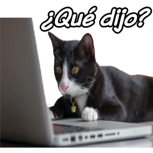 clases online time 
