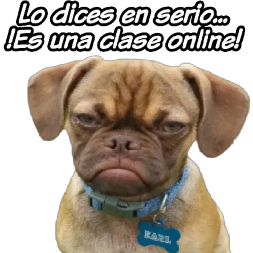clases online time 