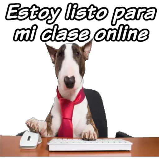 clases online time 