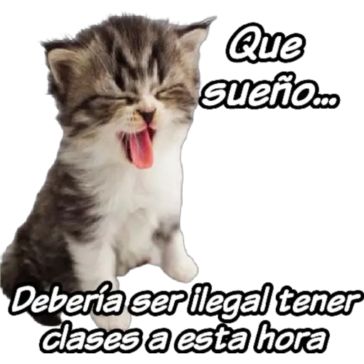 clases online time 
