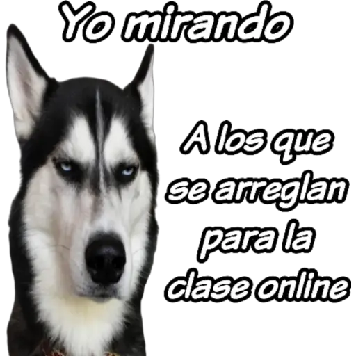 clases online time 