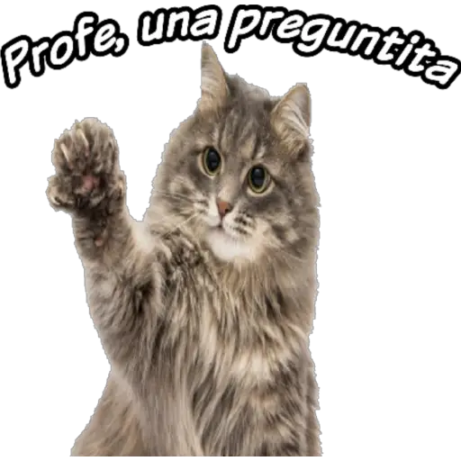 clases online time 