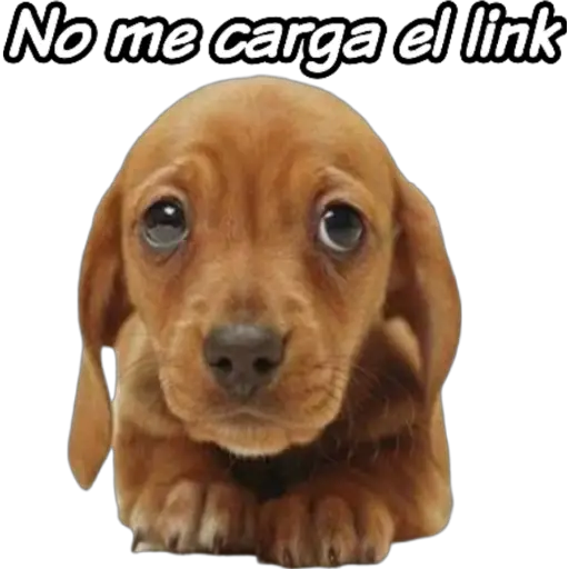 clases online time 