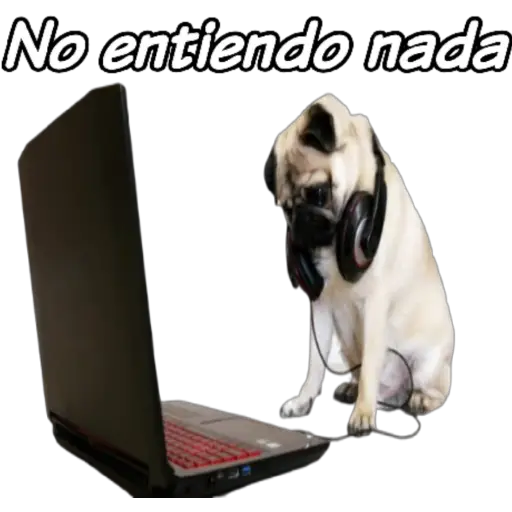 clases online time 