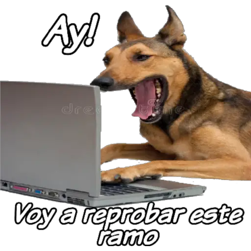 clases online time 