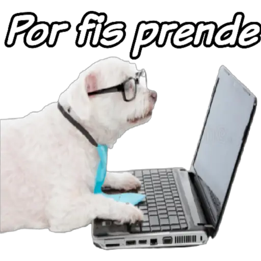 clases online time 