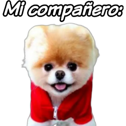 clases online time 