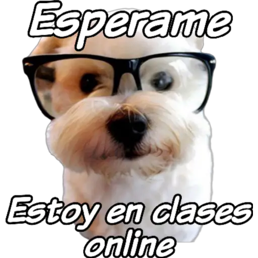 clases online time 
