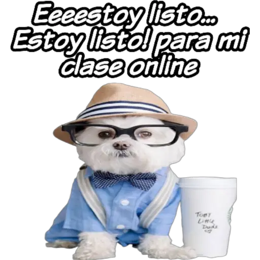 clases online time 