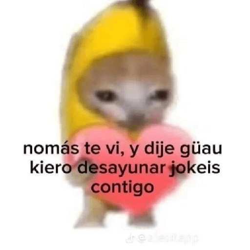 Gatitos Shitposting 2