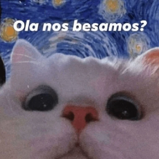 Gatitos Shitposting 2 preview
