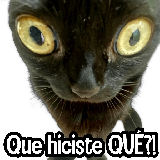 MICHIS Mix 🐾😻 ➊ 