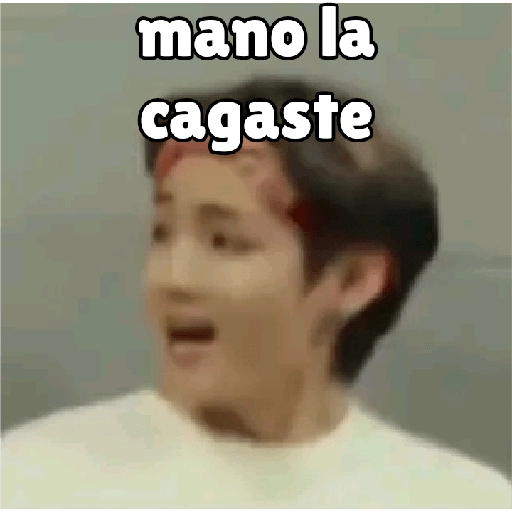 BTS y ARMYS 14 