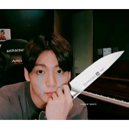 BTS y ARMYS 14 