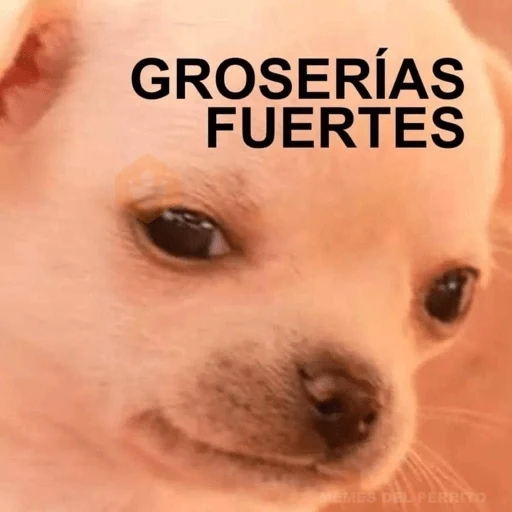 MEME PERRITO sticker 15
