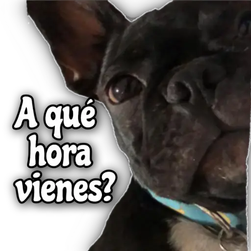 QUÉDATE EN CASA