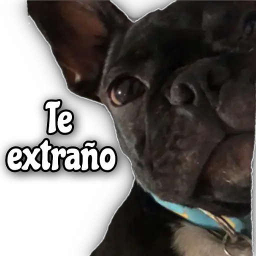 QUÉDATE EN CASA