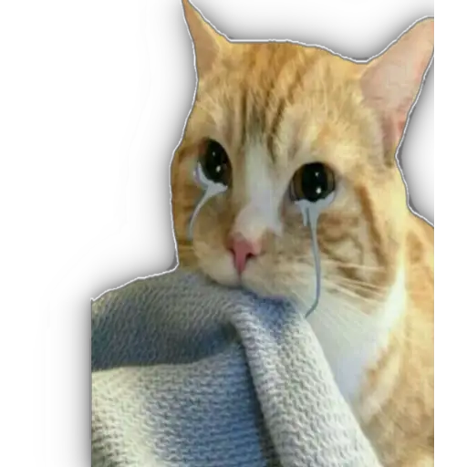 QUÉDATE EN CASA