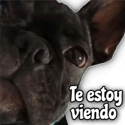 QUÉDATE EN CASA
