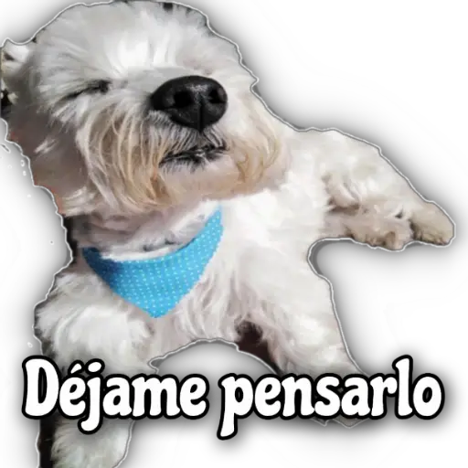 QUÉDATE EN CASA